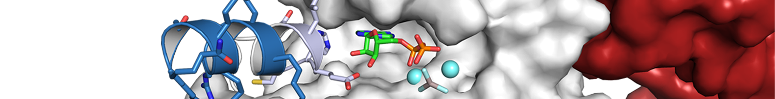 Institute of Structural Biology